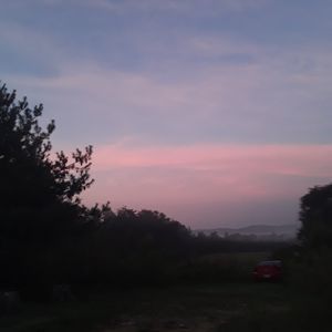 Meet your Posher, Darlys